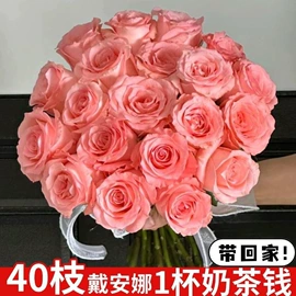 狗狗窝/笼/垫;盆栽;猫猫窝/笼/垫