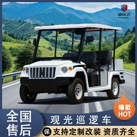 电动观光车;货车;其他电动车