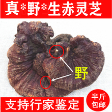 ���r����؛Ұ����֥��ɽҰ�����`֥��؛Ұ���`֥��֦���`֥���ӷ�