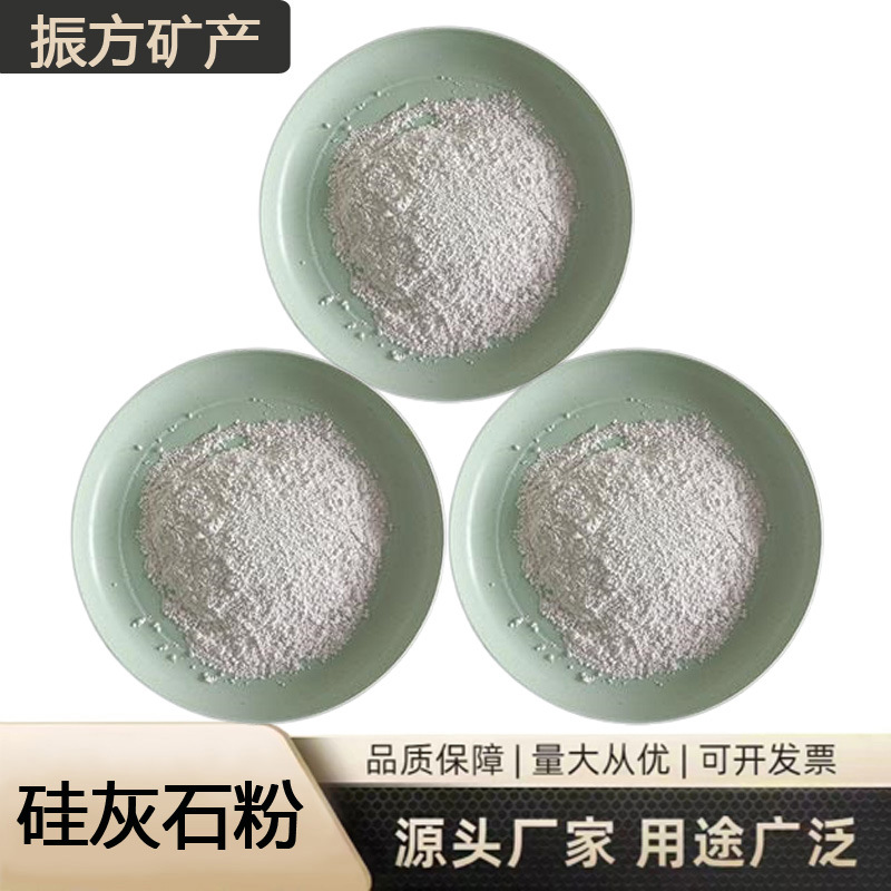 现货供应硅灰石 橡胶砂浆专用硅灰石粉 高白度超细1250针状硅灰粉