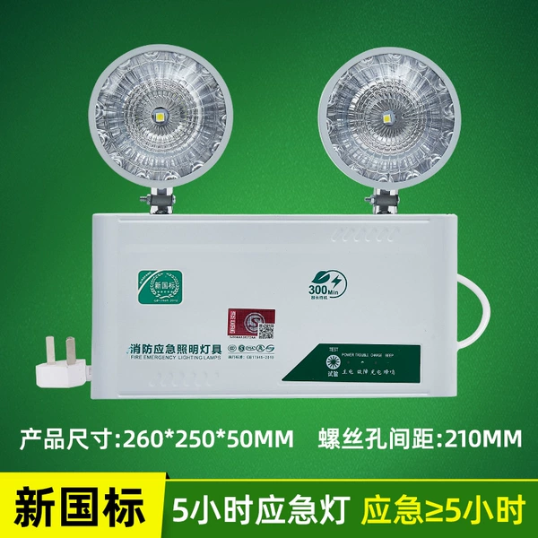 【Emergency 5 hours】Big round iron-headed double-headed light