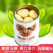 糖水马蹄罐头整箱糖水马蹄砀山新鲜水果罐头甜品零食