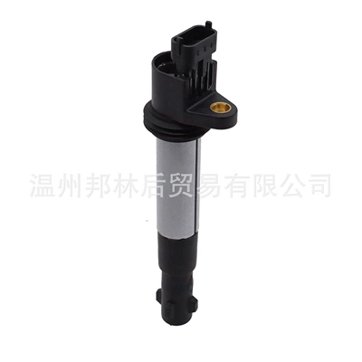 0221504473 Auto Parts Alovlanma bobini (Babinalar)