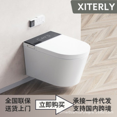 轻奢壁挂式智能马桶家用虹吸全自动带水箱悬浮一体式坐便器G2