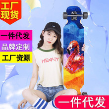 SWB02男生公路滑板成人舞板青少年夜光滑板车长板刷街女生初学者