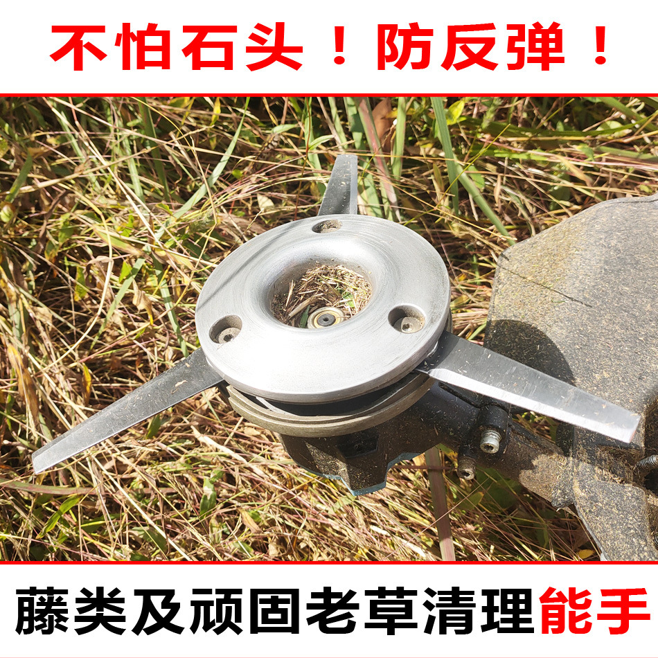 轮播图03.jpg