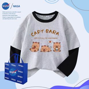 NASA�¿�2025��⿨ͨ�д�ͯ�كɼ��L��ɐۃ�ͯ��Ƥ�����r�����b