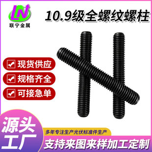 �ߏ���10.9���͸ߜ�ȫ�ݼy���� ȫ�۽z�p�^�Ͻ����˨�ݗU
���l