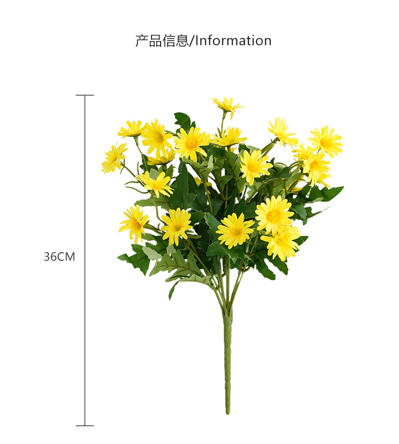 9头韩式菊_05.jpg
