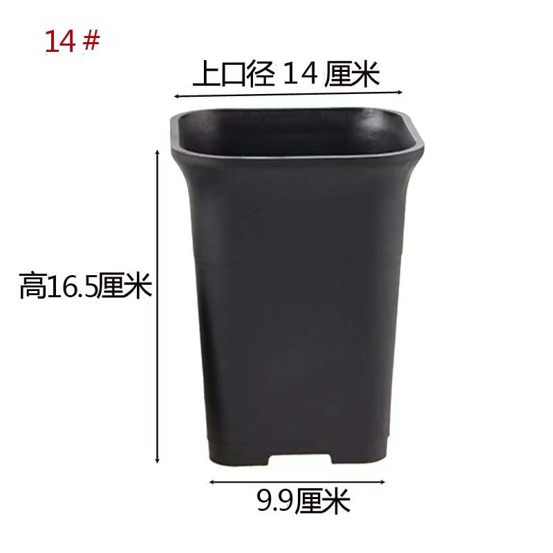 Vientiane square black 14#120