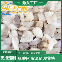 天然阿拉善戈壁玛瑙原石彩玉玛瑙水晶碎石鱼缸盆景配景石标本摆件