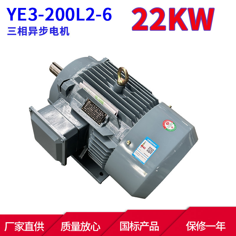 YE3系列三相异步电动机YE3-200L2-6 22KW 6极三相异步电机马达