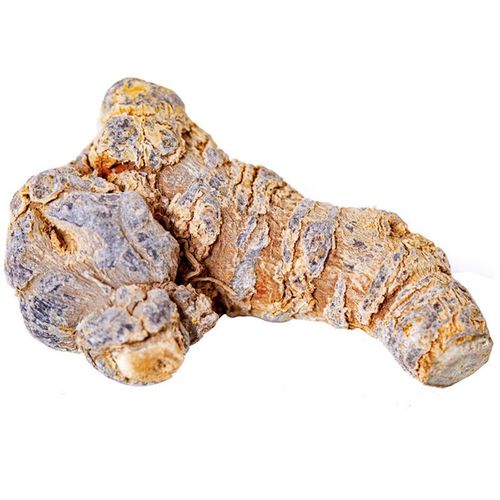 Yunnan Specialty Wenshan Tienchi Origin 20 Head Tienchi Fruit Tienchi Powder Traditional Chinese Medicine Wholesale