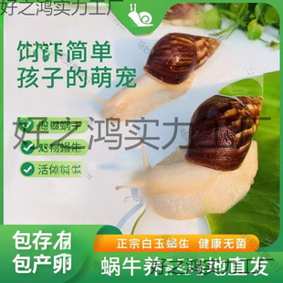 ΁ţ���l�W���^�p����[������ֳ�����
