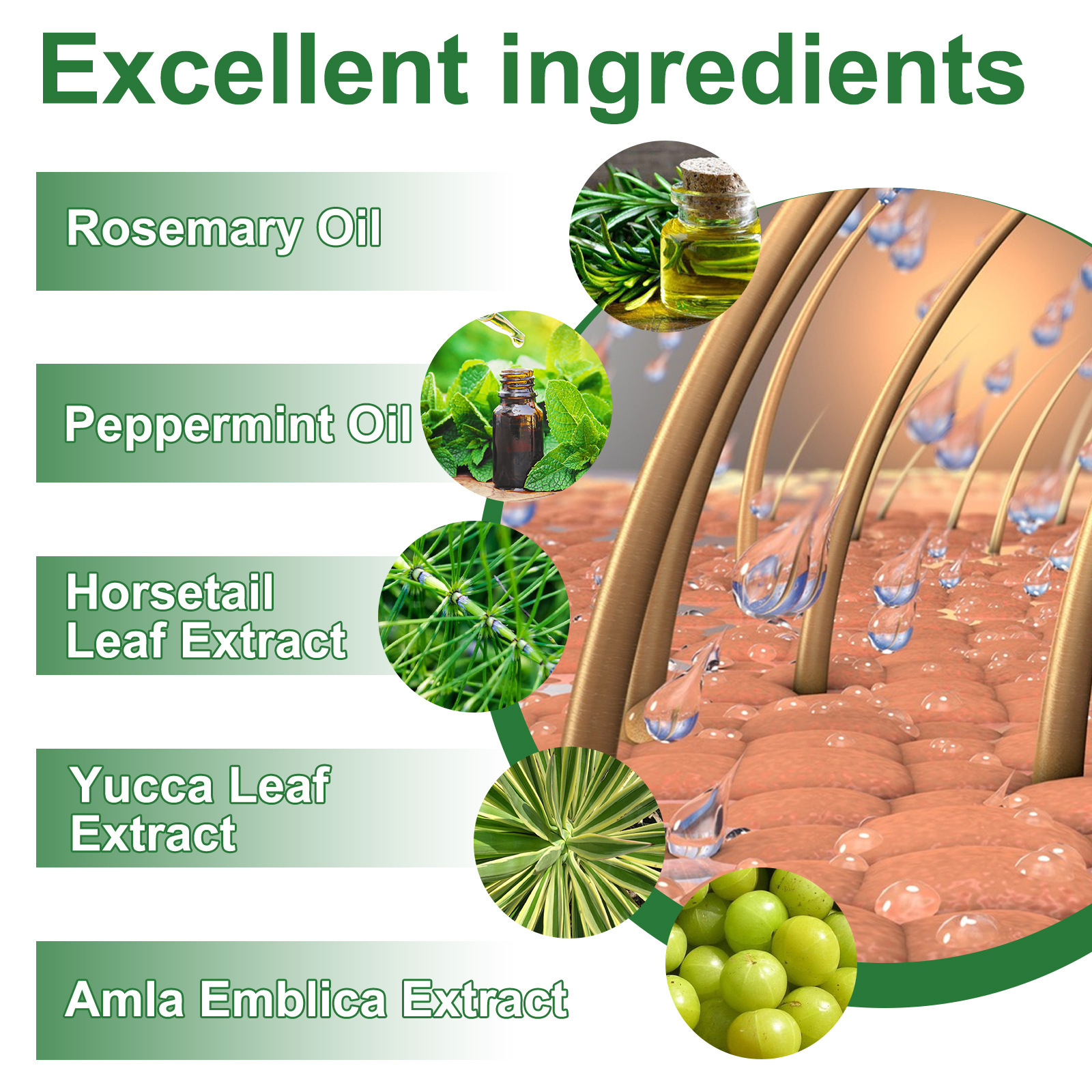 EELHOE Spray espesante para cabello con romero Hidrata las raíces del cabello, repara el cabello dañado, fortalece el cabello y previene la caída del cabello._voghion.com