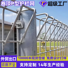 BRC护栏网出口韩国日本卷顶P型护栏园艺小区公园围栏栅栏厂家
