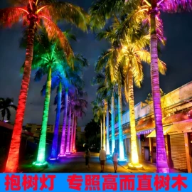 投光灯;地脚/墙脚灯;投射灯