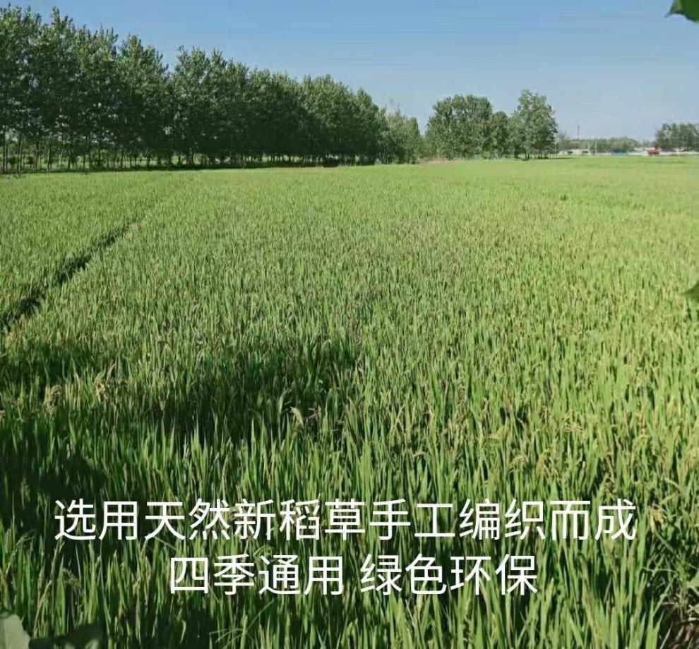 9094cbeb-939d-4745-aa9b-8099ee07e4e4.jpe