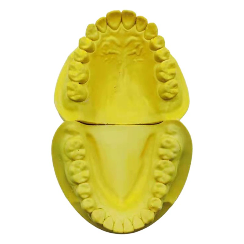 Стоматологическая стандартная модель зуба патч зубная практика модель зуба Детский сад Игрушка практика зубная щетка обучение