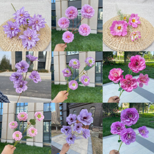 ��ɫϵ���滨 ��Ʒ��  ��Ʒϵ�� ��c��Y���b� �ٻ�  ���l