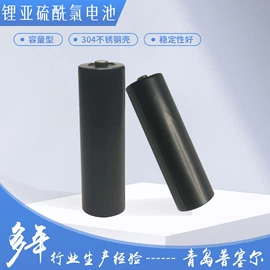 锂电池;其他电池