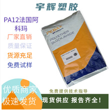 ���Ƭ�PA12 AESN P40 TL��������F���̌�������