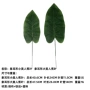 仿真主题摄影布置蕉叶
