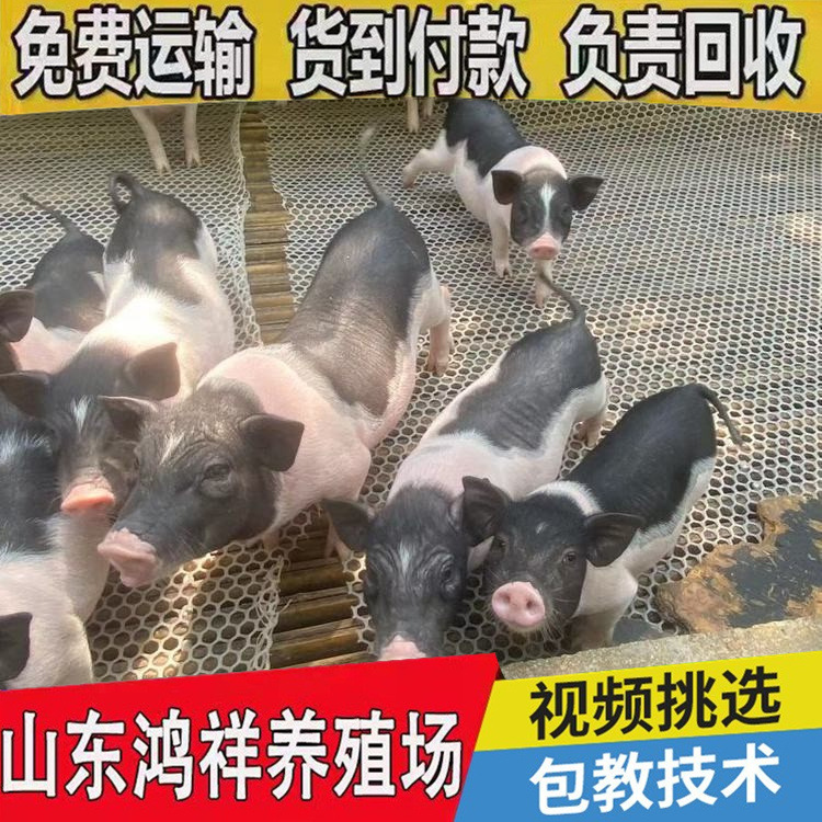 conew_u=3785317992,27012445&am