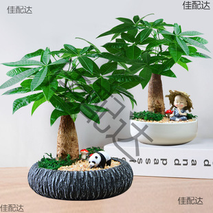 lֲؔ҃k[Gֲֲؔ￨ͨС