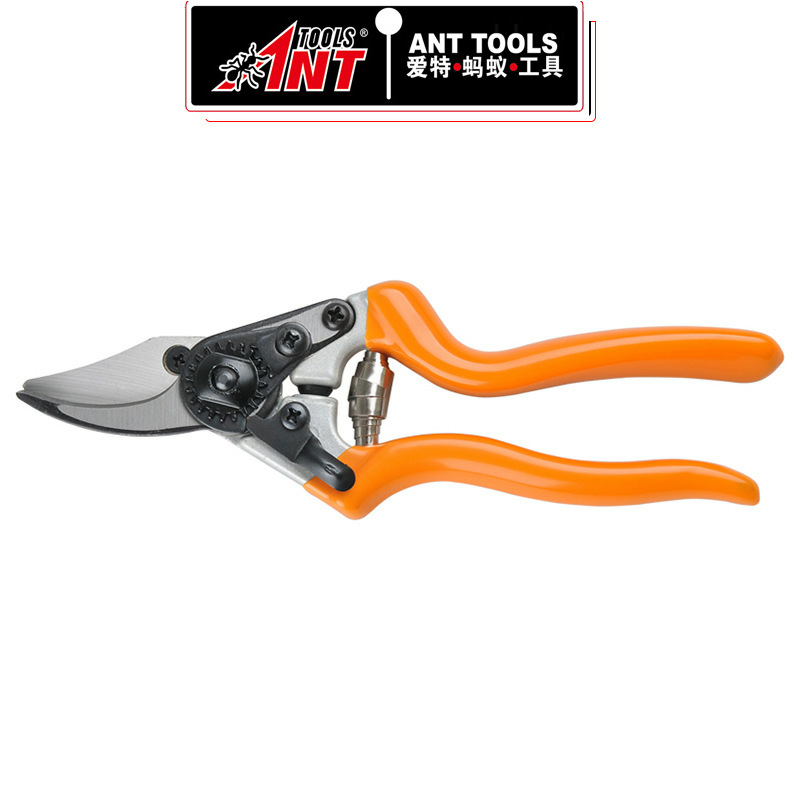新款园林修枝工具剪 果树粗枝树枝剪剪枝剪刀园艺剪刀工具