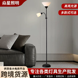 阅读台灯;装饰台灯;落地灯