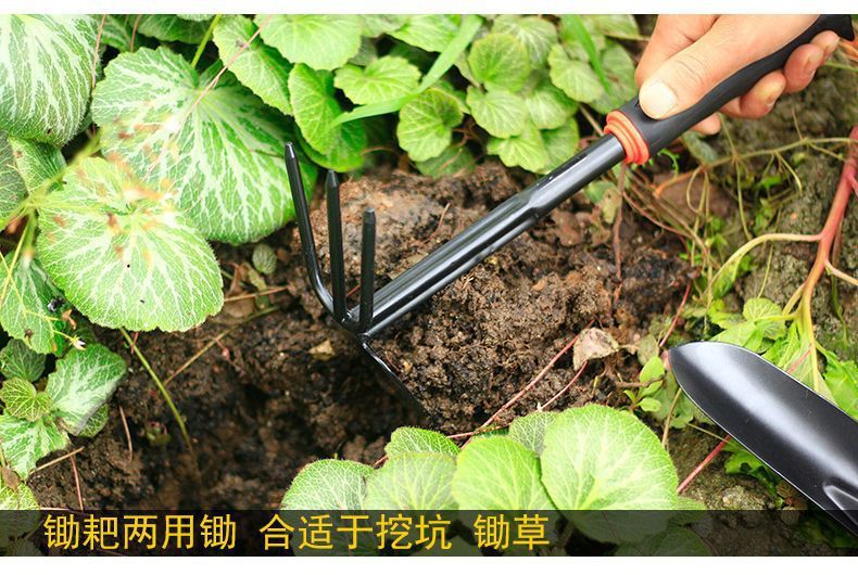 7c36fed9-2e6a-4c24-913e-c47f3675abba.jpe