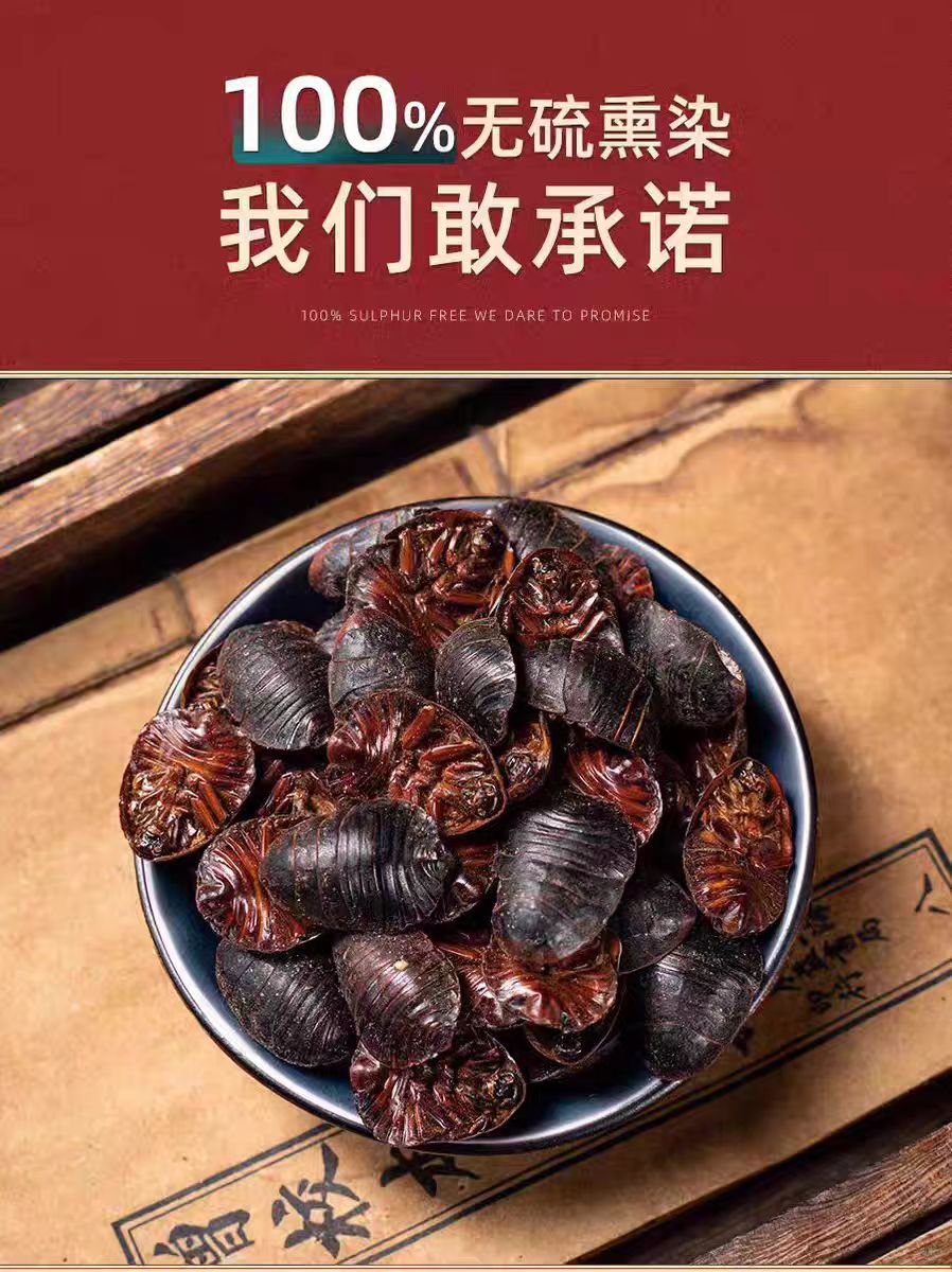 Tu Yuan (Eupolyphaga sinensis) — Dried Ground Beetle Herb, 500g Food-Grade quality and texture