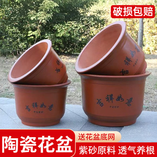 �������û����մ��ֹ�����͸��ͥԺ�Nֲ�͹����������҃��̨����