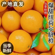 �~�ɠ�Ě�ȬFժ����Ƥ����֭���@ֱ�l��Ʒ�|���b���r�Fժˮ��