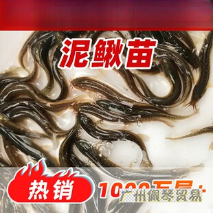 ���q��̨�����q�Bֳ�~�籾�����q��ួ��q��ˮ���]��N���q