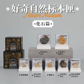 冰箱贴;现代装饰画;标本