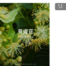 菩提花精油 印度自营产区 Linden Blossom 进口单方精油批发