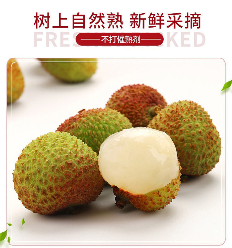 95b6795b-561b-4e46-bf68-505a801e9ba4.jpe