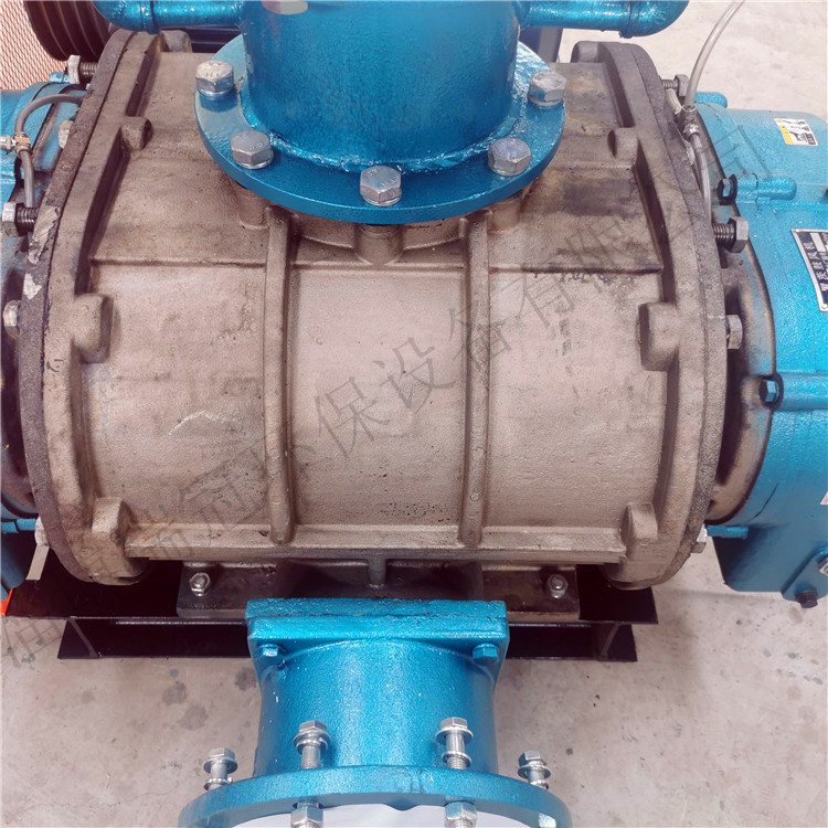 瑞冠 罗茨鼓风机 氯气输送内部镀镍涂层机械密封镀镍防腐罗茨风机