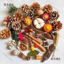 ��Ȼ�ɹ��b�Ұ�����������ɻ���֦�׃��@��������diy�ֹ���̫��
