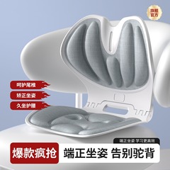 昌峰 可折叠办公室护腰坐垫椅子工位久坐神器腰托支撑靠背坐姿垫