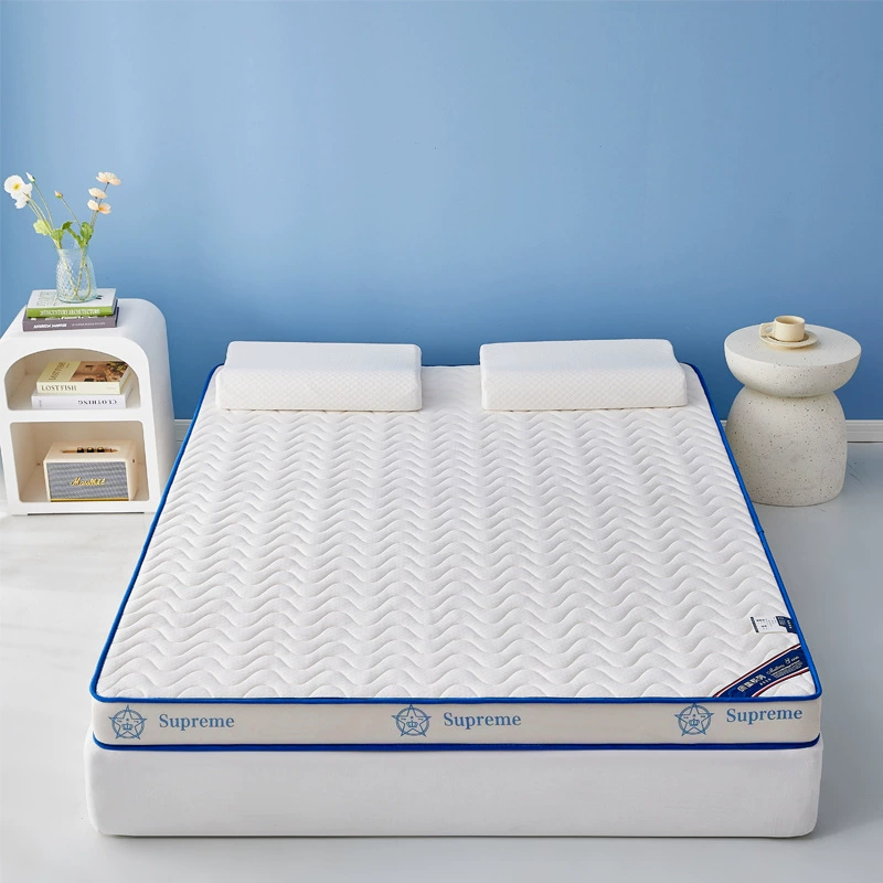 Sponge mattress, sleeping mat, custom-made