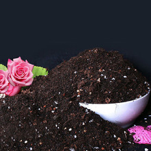 �I�B�� ���ܶ���ͺ����N���B�������ЙC����N��;�������ЙC��