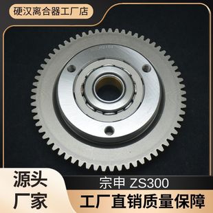 �m������ ZS300 ����300 CBS300Ħ��܇16�� ��Խ�x�������ӱP����