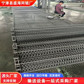 网带;输送机;传动链