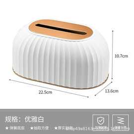 高颜值轻奢竖纹纸巾盒弹簧底座塑料金边客厅卧室卫生间餐厅抽纸盒