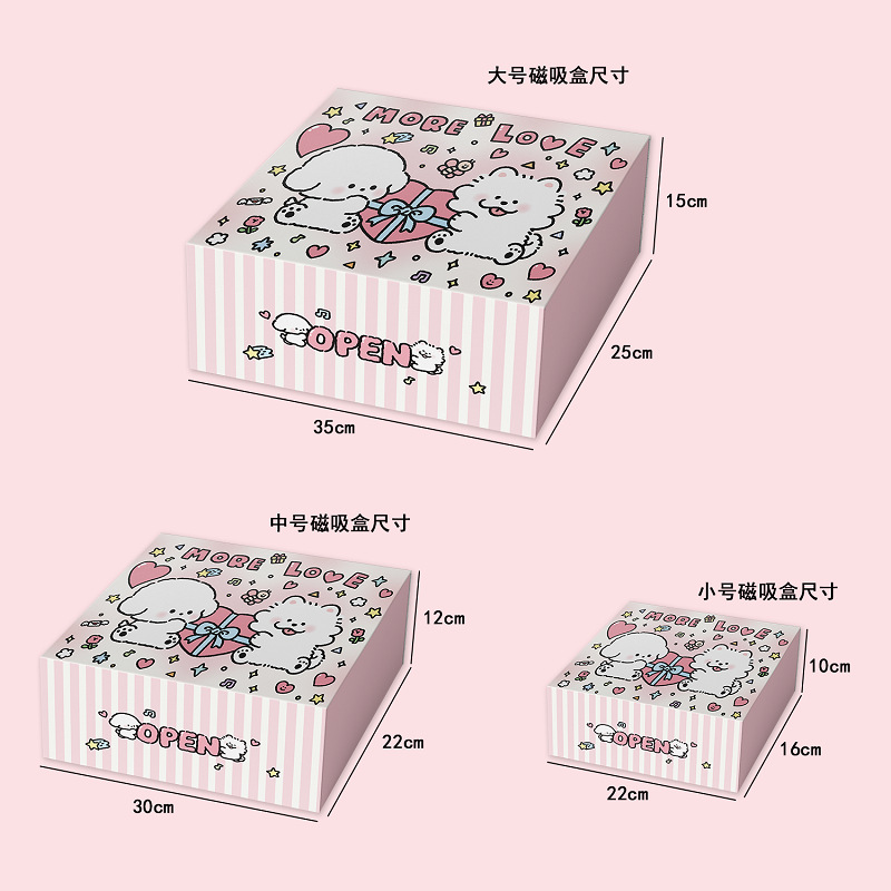 Ins caja de regalo rosa caja de embalaje de regalo de cumpleaños para novia más bolsa caja de succión magnética de dibujos animados lindo caja vacía