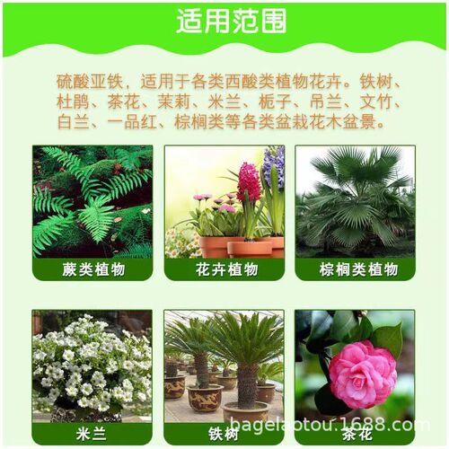 Factory direct sales ferrous sulfate gardening slow-release fertilizer controlled-release fertilizer granular fertilizer to adjust soil pH 360g