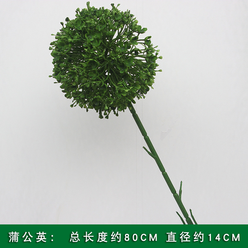 Dandelion ball